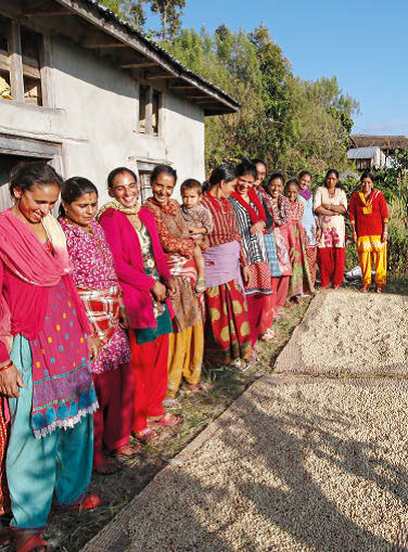 les cultivatices du café au Népal