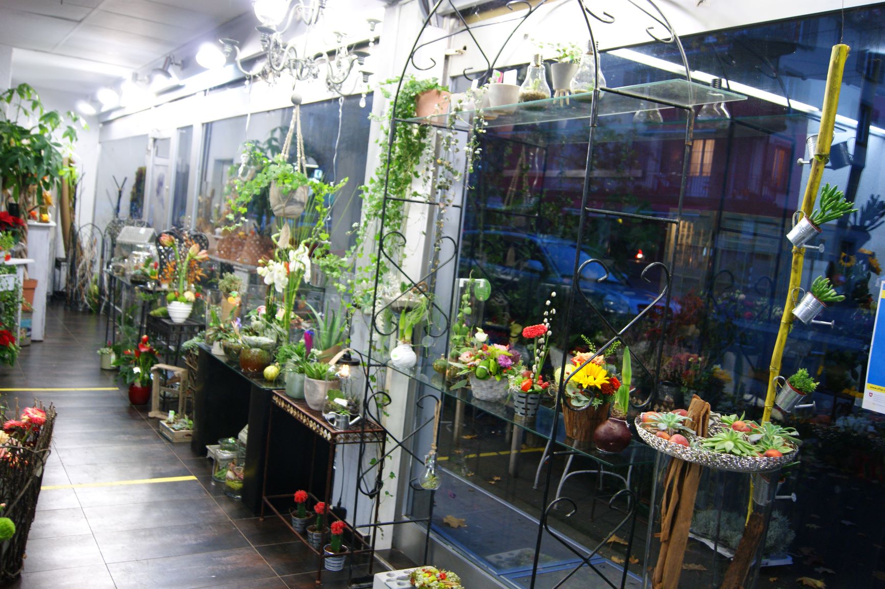 DSC06519