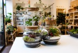 Tinygarden.ch